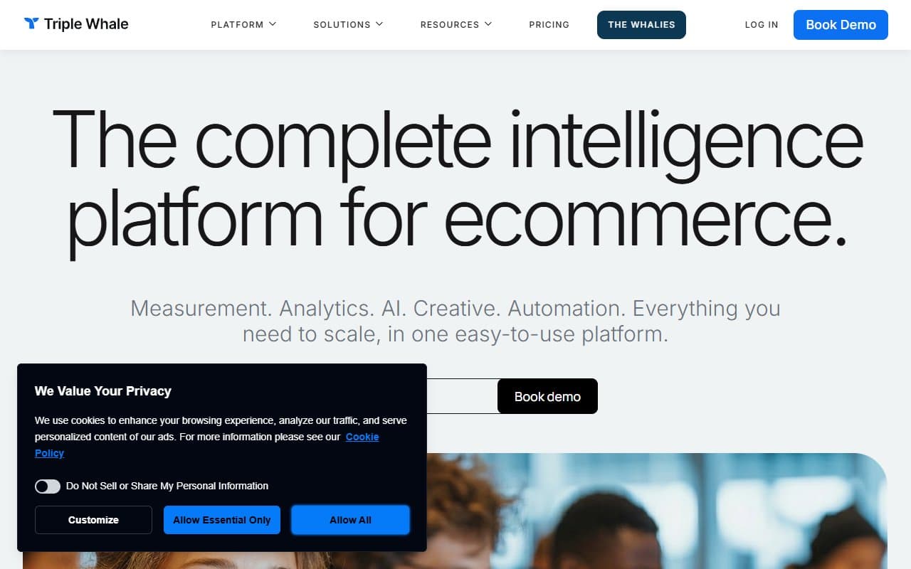 Triple Whale screenshot